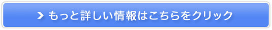 ޔety̓H `(TC^C)100z̔TCg